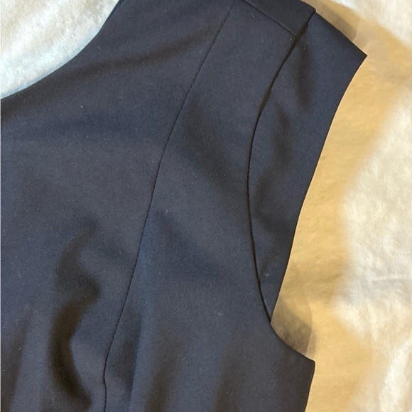 The Limited Classic Navy Dress - Picture 4 of 7